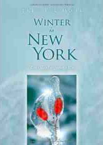 Ein Winter in New York - von Brigitte Mohr, Buchautorin -